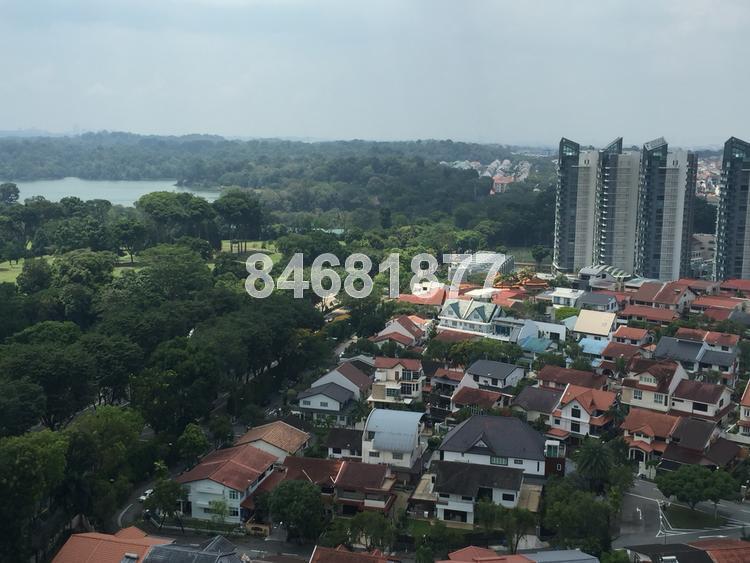 Flame Tree Park (D20), Condominium #113172992